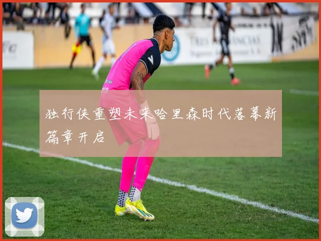 独行侠重塑未来哈里森时代落幕新篇章开启