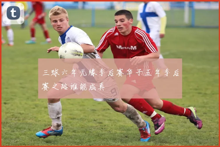 三球六年无缘季后赛华子五年季后赛之路谁能成真